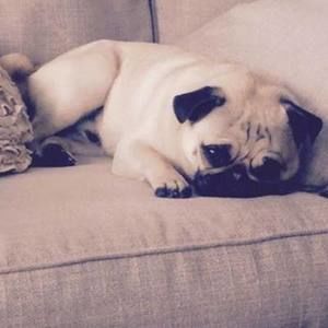 Meet your Posher, Andreya